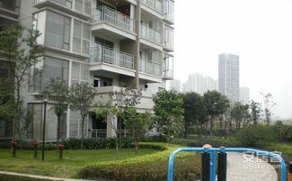 重庆花园爆料视频最新版,惊人内幕大曝光